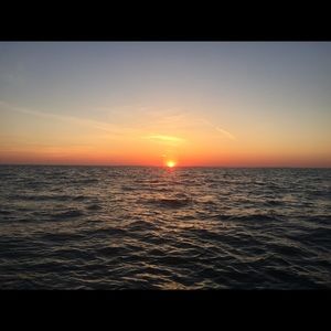 Meet your Posher, Audrey