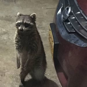 Meet your Posher, Francine