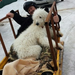 Meet your Posher, Marni