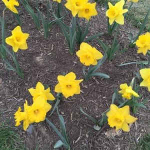 Meet your Posher, Nery