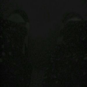 Meet your Posher, Janice