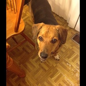 Bart says make an offer he can't refuse