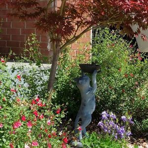 Meet your Posher, Paula