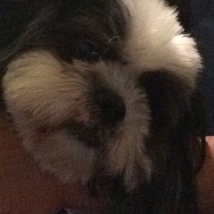 Meet your Posher, Nate