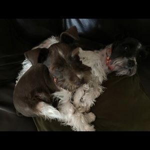 Meet your Posher, Wanda