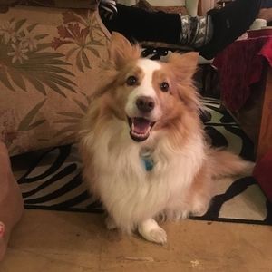 Meet your Posher, Joan