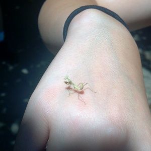 Meet your Posher, Jamie