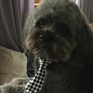 Meet your Posher, Diane