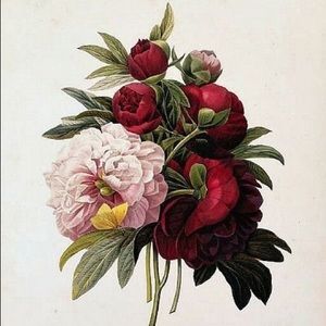 Meet your Posher, Cameron