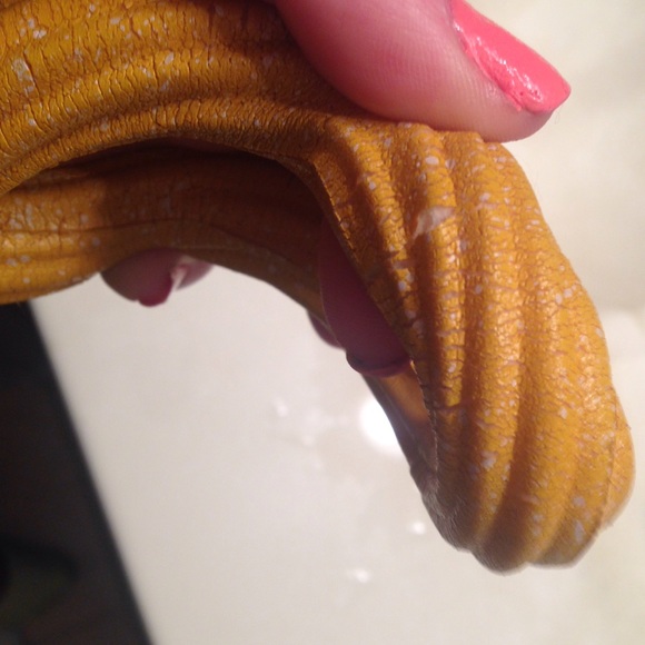 Ibloom Churro! - Picture 3 of 3