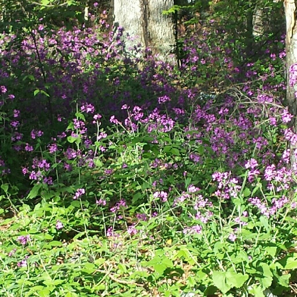 Meet your Posher, Carrie - Picture 1 of 1