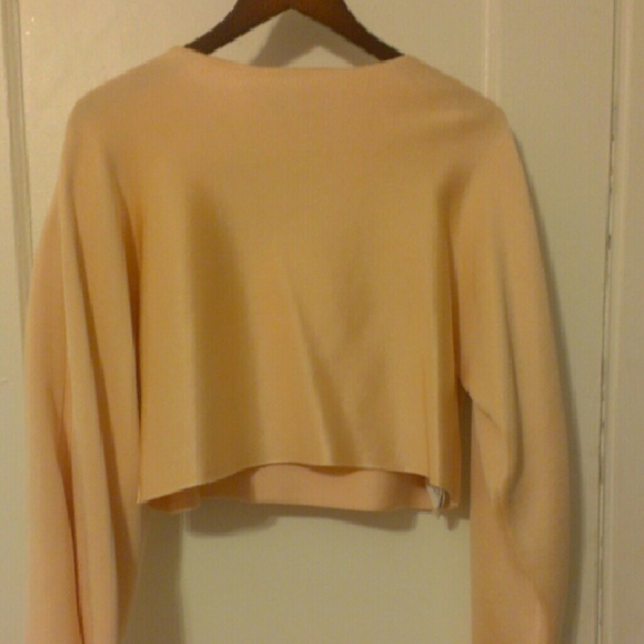 Zara Wide Sleeve Crop Top NWT