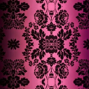 Meet your Posher, Alondra