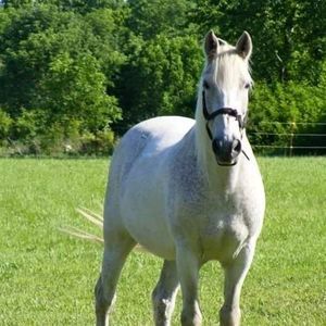 Meet your Posher, Cathy