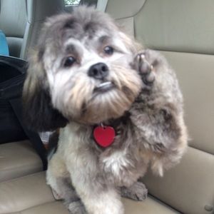 Meet your Posher, Mel