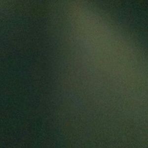 Meet your Posher, Joey