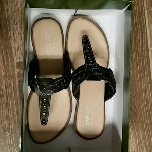 Coach and Four Laila