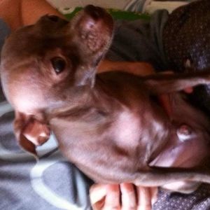 Meet your Posher, Amy