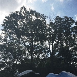 Meet your Posher, Shayda