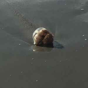 Meet your Posher, Danette