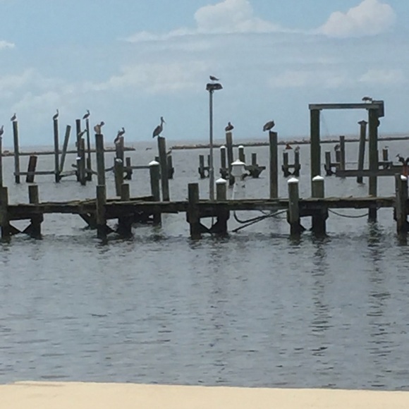 Meet your Posher, Pat - Picture 2 of 2