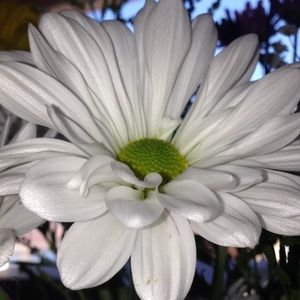 Meet your Posher, Aubrey