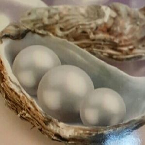 Meet your Posher, Ada