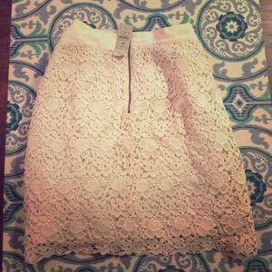 Embroidered Lace Skirt