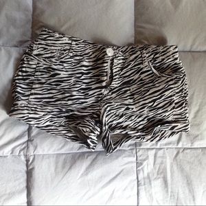 Zebra Print Shorts