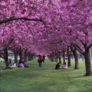 Meet your Posher, Se lina