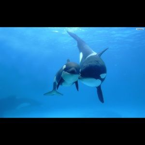 Meet your Posher, Ruby