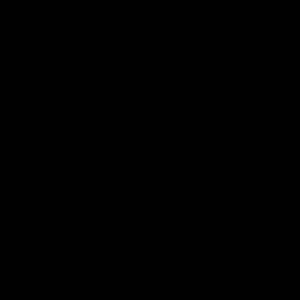 Meet your Posher, Dee