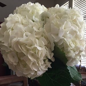 Meet your Posher, Hanna