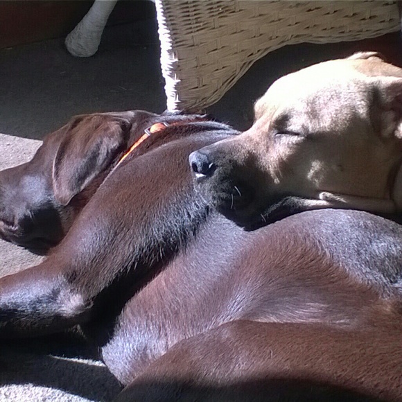 Meet your Posher, Deborah - Picture 2 of 5