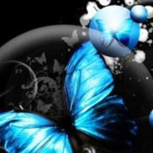 Meet your Posher, Pamela