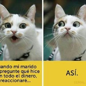 Meet your Posher, Estefany