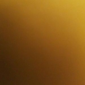 Meet your Posher, Rose