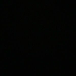 Meet your Posher, Rose