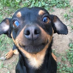 Meet your Posher, Sonia