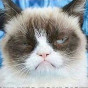 Meet your Posher, Brooke