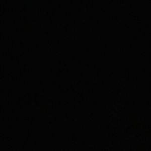 Meet your Posher, Gladys