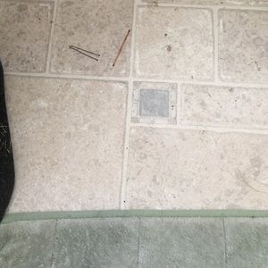 Meet your Posher, Sheldene