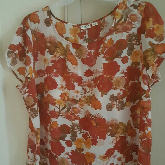 Sheer blouse