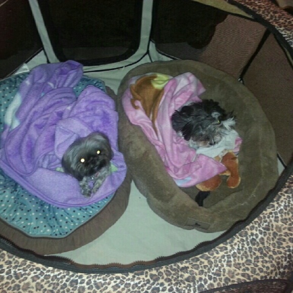 Meet your Posher, Alicia