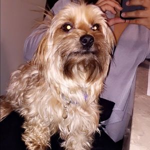 Meet your Posher, Vicky