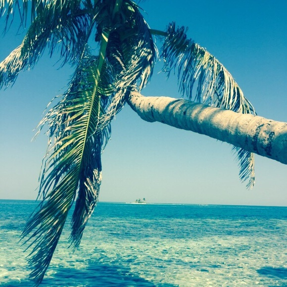 Meet your Posher, Jyl