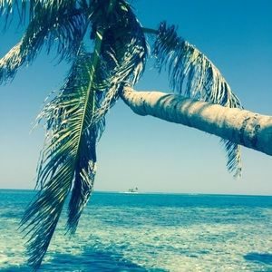 Meet your Posher, Jyl