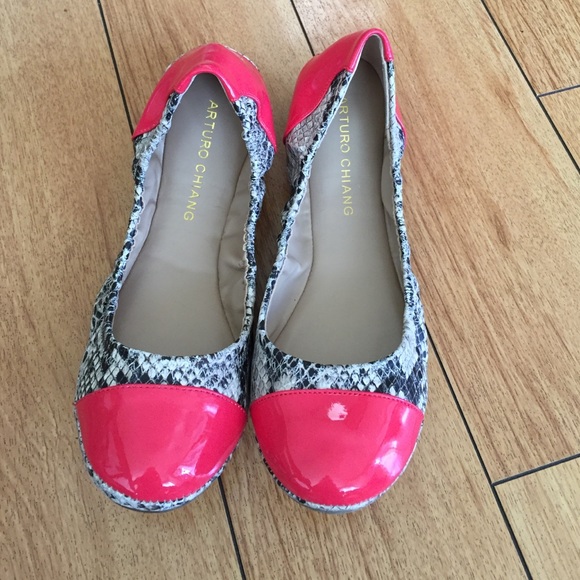Never worn Arturo Chiang flats!