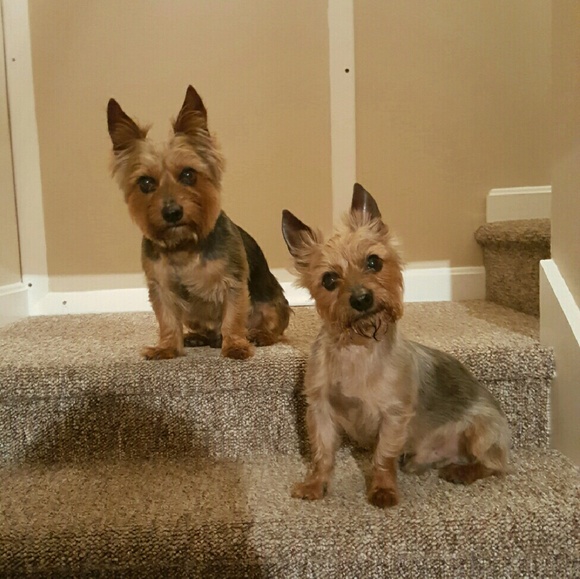 💕💕A SUGGESTED USER 💕💕 - Picture 4 of 4