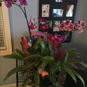 Meet your Posher, Ivonne